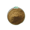 Organic Fig Leaf Extract Powder